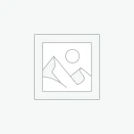 雑誌掲載１２月号